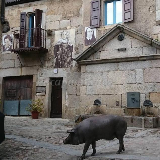 Pensjonat Casa Rural Amparo Mogarraz Zewnętrze zdjęcie