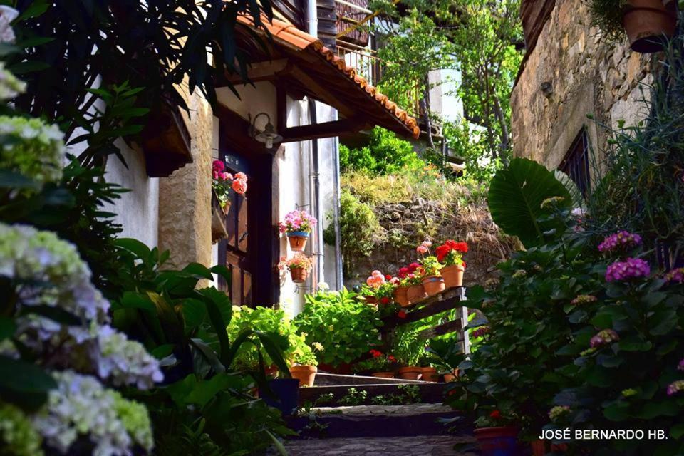 Pensjonat Casa Rural Amparo Mogarraz Zewnętrze zdjęcie